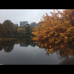 Meet your Posher, Lorcan